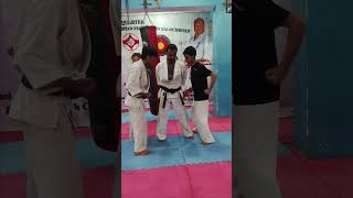 so kyokushin karate pakistan [upl. by Shishko]