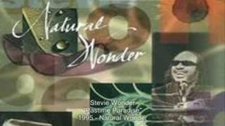 Stevie Wonder  Pastime Paradise Live [upl. by Novek929]