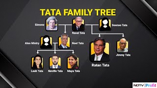 The Tata Family Tree Whats Next For Tata Trusts As Noel Tata Takes Over [upl. by Aicened17]