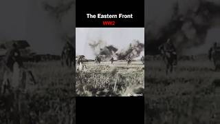 WW2 The Eastern Front 1943  Real Sound No Music shorts ww2 [upl. by Annirok]