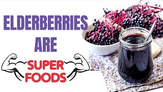 10 Amazing Health Benefits of Elderberry YOU NEED I Elderberry Benefits [upl. by Natalina636]