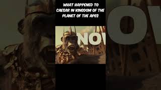 Kingdom Of The Planet Of The Apes 20242024moviesfilmyoutubeshortsdeadpool [upl. by Navonoj]