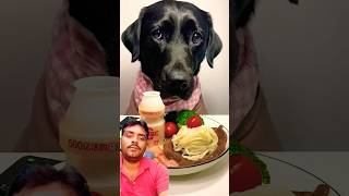 Dog diet 🐕🐕 🥦🍎🥗🍌 dog sorts cutebaby youtubeshorts [upl. by Aleekahs582]