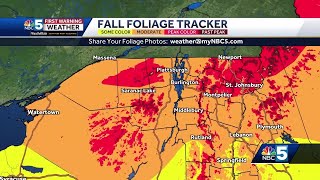 Peak fall foliage quickly approaching in Vermont Northern New York [upl. by Asia]