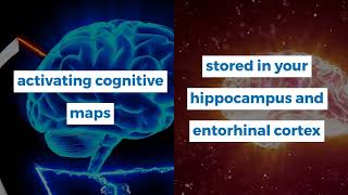 How the Brain Constructs Cognitive Maps for NonSpatial Memory [upl. by Derrek]