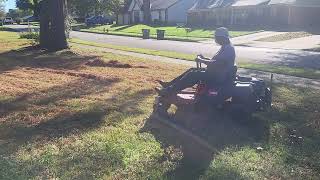 Pine Needle Cleanup PT4 11 11 2024 [upl. by Linet]