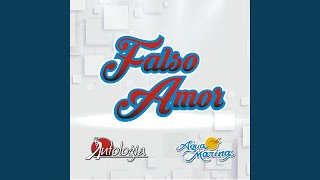 Falso Amor [upl. by Aid]