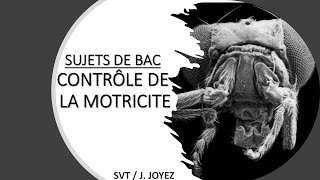 SUJETS BAC MOTRICITÉ 1 [upl. by Kurland133]