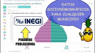 Datos sociodemográficos población PEA viviendas salud de cualquier municipio de México  INEGI [upl. by Ellersick]