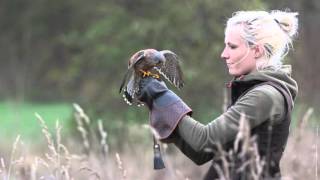 Greifvogelshooting in Thüringen 2015 [upl. by Ttekcirc]