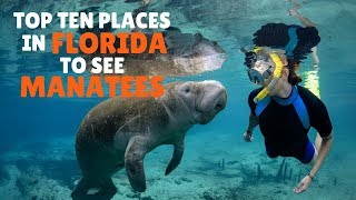 Top Ten places in Florida to see Manatees [upl. by Esinehc]