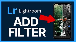 How to Add Filters in Lightroom 2024 [upl. by Naud]