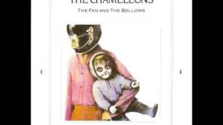 The Chameleons  The Fan And The Bellows [upl. by Gothar]