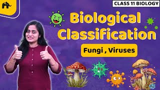 Biological Classification Class 11 Biology NCERT Chapter 2  CBSE  Kingdom Fungi Viruses Viriods [upl. by Derrik896]