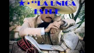 ✳✬LA UNICA ESTRELLA✳✬ VICENTE FERNANDEZ [upl. by Adnawaj260]