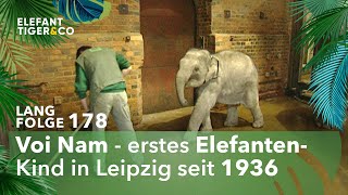 Rhani und ihre Familienbande Langfolge 178  Elefant Tiger amp Co  ARD [upl. by Aita958]