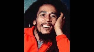 Bob Marley interview Steve Gilbert part 1 [upl. by Cattier743]