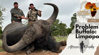 Hunting Problem Buffalo Africa Sun Safaris [upl. by Aramo]