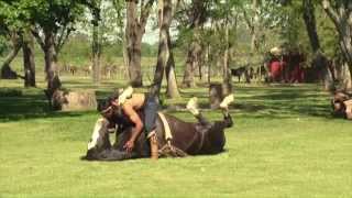 Doma India de Caballos en Argentina [upl. by Pen]