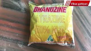 Dhanuka Dhanuzine herbicide  Dhanuzine herbicide  atrazine 50 wp  Dhanuzine selective herbicide [upl. by Aitropal]