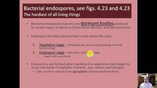 Microbiology  Prokaryotes  Chapter 4  Part 22 [upl. by Ilowell779]