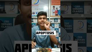 Apoptosis class 11th biology funny [upl. by Seuqramed]