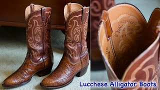 Lucchese Alligator Boots San Antonio in 4k UHD [upl. by Anelav]