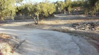 Homage to Dirk Bogarde in the olive groves of Provence [upl. by Coopersmith]