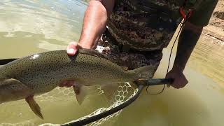 Spinney Mountain Reservoir Fishing 792022 [upl. by Mas]