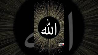 allahu allahu allahu allah hu allah IslamicSocialWork MuhammadAli [upl. by Yelrahs]