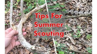 Tips For Scouting Public Land WMA When To Scout WMA hunting deer archery outdoors bowhunting [upl. by Jackie]