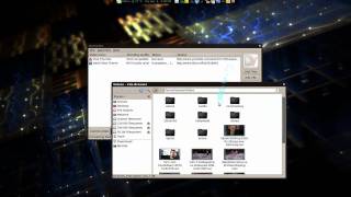 DamnVid Video Downloader amp Converter  Linux Mint 8 [upl. by Erving]