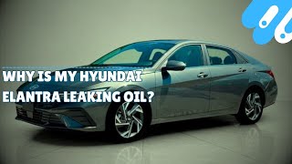 Why is My Hyundai Elantra Leaking Oil [upl. by Akinohs]