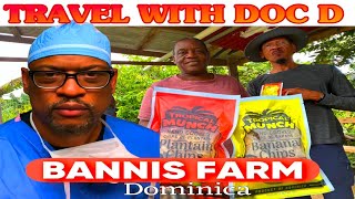 TRAVEL WITH DOC D BANNIS FARM in Dominica [upl. by Waugh]