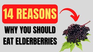 Elderberry Benefits 14 Impressive Elderberry Health Benefits [upl. by Virginie]