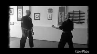 Goshindo Taikijutsu Ryu 1 [upl. by Kwarteng]