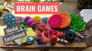 Brain Games for DogsMental Enrichment [upl. by Thanos729]