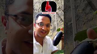 Brinjal Benefits  Brinjal  Know the Benefits  Amazing Health Benefits Of Eggplant [upl. by Packer]