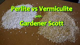 Perlite vs Vermiculite [upl. by Titos356]