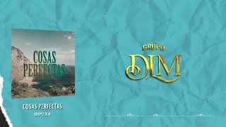 Grupo DLM  Cosas Perfectas Video Lyric [upl. by Ailhat]