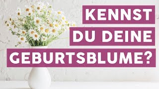 Die passende Blume zu jedem Geburtsmonat  TRENDS [upl. by Previdi]