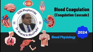 Blood Coagulation Clotting Coagulation Cascade Physiology 112024 by Dr Khaled A Abulfadle [upl. by Arateehc]