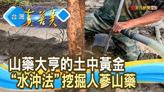 土中黃金“人蔘山藥”｜鉅鹿堂人蔘山藥｜【台灣真善美】20240225 [upl. by Yrallam]