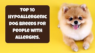 quotBreathe Easy with These 10 Hypoallergenic Dog Breeds 🐾✨ [upl. by Akiam211]