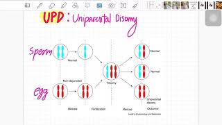 Uniparental DisomyP’Nut [upl. by Scheers]