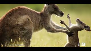 TONES AND I  DOWN UNDER OFFICIAL VIDEO FROM PARIS OLYMPIC GAMES 2024 AUSTRALIA [upl. by Vitkun84]