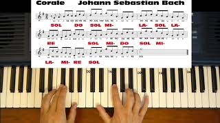 CORALE di Johann Sebastian Bach per Principianti [upl. by Ecnarretal725]