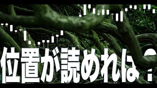 FX 相関トレード【波乗りトレーダー視点】①親波との位置関係を読めたか？②はっきりした決着が確認できたか？③ローソクがどこに行きたがっているか？ [upl. by Grindle847]