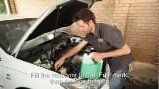 How to Check your Cars Coolant Level [upl. by Sirahc495]