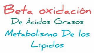 Beta oxidación de los Ácidos Grasos [upl. by Asalocin127]